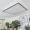 Barasat Lámpara de Techo LED Negro, Blanca, 2 luces