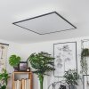 Barasat Lámpara de Techo LED Negro, Blanca, 2 luces