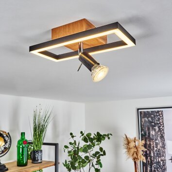 Deadwood Lámpara de Techo LED Negro, Blanca, 2 luces