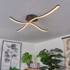 Rheinfelden Lámpara de Techo LED Negro, 1 luz