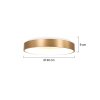 Steinhauer Ringlede Lámpara de Techo dorado, 1 luz