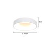 Steinhauer Ringlede Lámpara de Techo Blanca, 1 luz