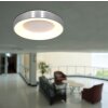 Steinhauer Ringlede Lámpara de Techo Acero inoxidable, 1 luz