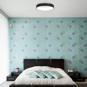 Steinhauer Ringlede Lámpara de Techo Negro, 1 luz