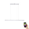 Paul Neuhaus Q-CORA Lámpara Colgante LED Aluminio, 1 luz, Mando a distancia