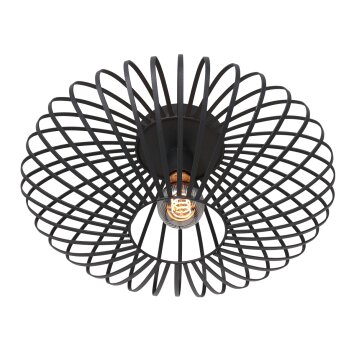Steinhauer Dunbar Lámpara de Techo Negro, 1 luz
