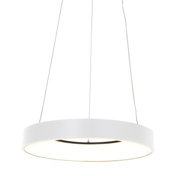 Steinhauer Ringlede Lámpara Colgante Blanca, 1 luz