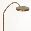 Steinhauer Platu Lámpara de Pie LED Bronce, 1 luz