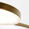 Steinhauer Platu Lámpara de Pie LED Bronce, 1 luz