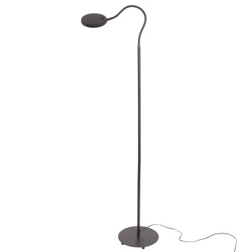 Steinhauer Platu Lámpara de Pie LED Negro, 1 luz