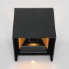 Steinhauer Muro Aplique para exterior LED Negro, 2 luces