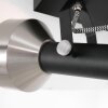 Steinhauer Acier Lámpara de Techo Negro, 2 luces
