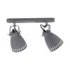 Leuchten-Direkt EVA Lámpara de Techo Gris, 2 luces
