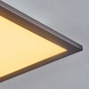 Ringuelet Lámpara de Techo LED Negro, Blanca, 1 luz, Mando a distancia