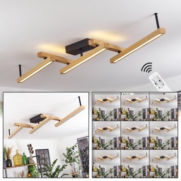 Disentis Lámpara de Techo LED Crudo, Negro, 1 luz, Mando a distancia