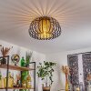 Dudignac Lámpara de Techo Negro, 1 luz