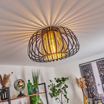 Dudignac Lámpara de Techo Negro, 1 luz