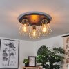 Cenova Lámpara de Techo Negro, 3 luces