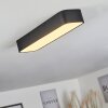 Iriondo Lámpara de Techo LED Negro, 1 luz, Mando a distancia