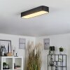 Iriondo Lámpara de Techo LED Negro, 1 luz, Mando a distancia