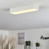 Iriondo Lámpara de Techo LED Blanca, 1 luz, Mando a distancia