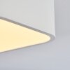Iriondo Lámpara de Techo LED Blanca, 1 luz, Mando a distancia