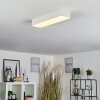 Iriondo Lámpara de Techo LED Blanca, 1 luz, Mando a distancia