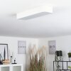 Iriondo Lámpara de Techo LED Blanca, 1 luz, Mando a distancia