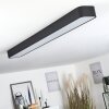 Iriondo Lámpara de Techo LED Negro, 1 luz, Mando a distancia