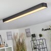 Iriondo Lámpara de Techo LED Negro, 1 luz, Mando a distancia