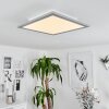 Wilderswil Lámpara de Techo LED Blanca, 1 luz