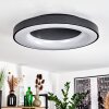 Sachseln Lámpara de Techo LED Negro, 1 luz, Mando a distancia