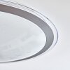 Gorgonta Lámpara de Techo LED Blanca, 2 luces, Mando a distancia, Cambia de color