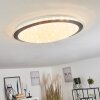 Gorgonta Lámpara de Techo LED Blanca, 2 luces, Mando a distancia, Cambia de color
