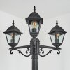 Naofe Candelabro Negro, 3 luces