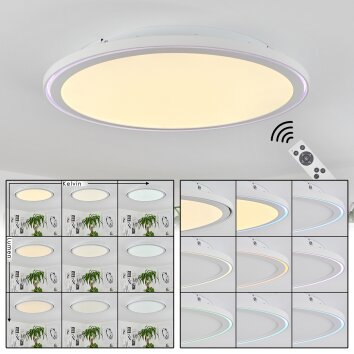 Telsen Lámpara de Techo LED Blanca, 2 luces, Mando a distancia, Cambia de color