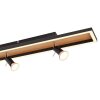 Globo IDA Lámpara de Techo LED Color madera, Negro, 5 luces