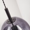Magnano Lámpara Colgante Negro, 1 luz