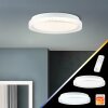Brilliant Burlie Lámpara de Techo LED Blanca, 1 luz, Mando a distancia, Cambia de color