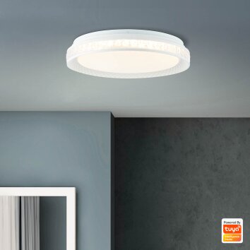 Brilliant Burlie Lámpara de Techo LED Blanca, 1 luz, Mando a distancia, Cambia de color