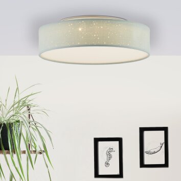 Brilliant Baska Lámpara de Techo LED Plata, 1 luz
