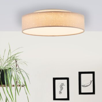 Brilliant Baska Lámpara de Techo LED Plata, 1 luz