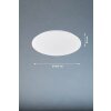 Fischer & Honsel Mona Lámpara de Techo LED Blanca, 1 luz
