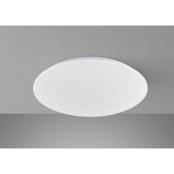 Fischer & Honsel Mona Lámpara de Techo LED Blanca, 1 luz