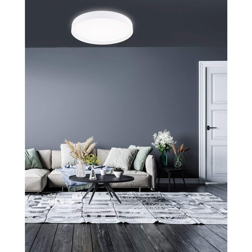 Fischer & Honsel Paon Lámpara de Techo LED Blanca, 1 luz main product photo