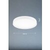 Fischer & Honsel Paon Lámpara de Techo LED Blanca, 1 luz