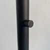 Fischer & Honsel Shade Lámpara de Pie Negro, 3 luces