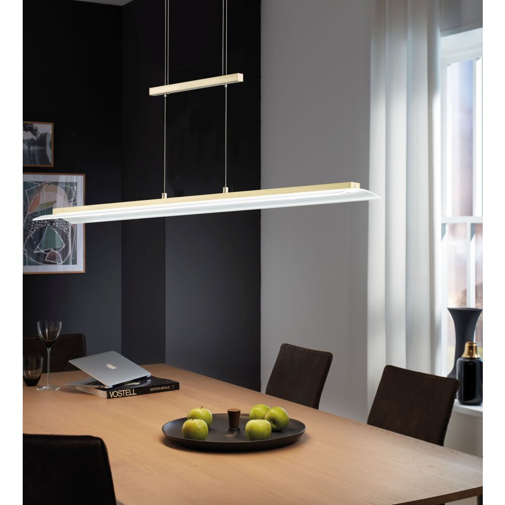 Fischer & Honsel ROOF Lámpara Colgante LED Latón, 1 luz main product photo