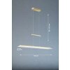 Fischer & Honsel ROOF Lámpara Colgante LED Latón, 1 luz