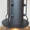 Fischer & Honsel Londo Lámpara Colgante Negro, 1 luz